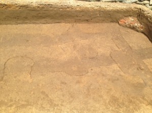 Two horizontal planting furrows. On the right, a vertical line exhibits the fort extension wall. (Photo courtesy The Colonial Williamsburg Foundation) 